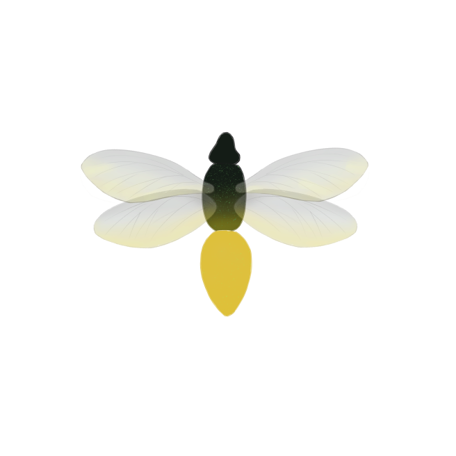 Light bug-2.png
